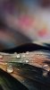 360x640 Walls-cellcustomize (21).jpg 360x640 Walls-cellcustomize (21).jpg