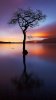 DEVAM-360x640 Walls-cellcustomize (24).jpg DEVAM-360x640 Walls-cellcustomize (24).jpg