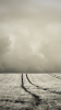 360x640 Walls-cellcustomize (4).png 360x640 Walls-cellcustomize (4).png