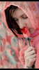 flower-lov_z49v7f6q.gif flower-lov_z49v7f6q.gif