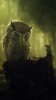 oldowl_hi9rikuh.jpg oldowl_hi9rikuh.jpg