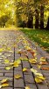 autumn_juxisfo7.jpg autumn_juxisfo7.jpg