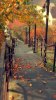 lovelyautu_yxd62a9m.jpg lovelyautu_yxd62a9m.jpg
