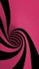 Spiral-Rose.jpg Spiral-Rose.jpg