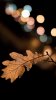 symbiantweet-com-6.jpg symbiantweet-com-6.jpg
