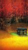 Autumn_18.jpg Autumn_18.jpg
