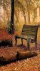 Autumn_21.jpg Autumn_21.jpg