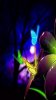 Efflorescence_640x640_by_sewenka.jpg Efflorescence_640x640_by_sewenka.jpg