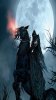 Grim_Reaper_640x640.jpg Grim_Reaper_640x640.jpg