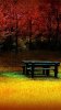 Autumn887.jpg Autumn887.jpg