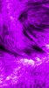 computer_0483.jpg computer_0483.jpg