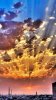 nature_3575ne.jpg nature_3575ne.jpg