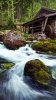 nature_3683ri.jpg nature_3683ri.jpg