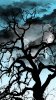 nature_3838xh.jpg nature_3838xh.jpg
