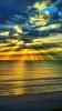 nature_3854xx.jpg nature_3854xx.jpg