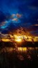 nature_3917ai.jpg nature_3917ai.jpg