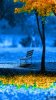 nature_3986cz.jpg nature_3986cz.jpg