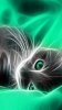 animals_1766ax.jpg animals_1766ax.jpg
