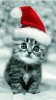 animals_1893fu.jpg animals_1893fu.jpg