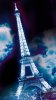 other_1437eg.jpg other_1437eg.jpg