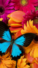 picture (31).png picture (31).png