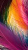 sankeerths-abstract-n8-20.jpg sankeerths-abstract-n8-20.jpg