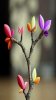 abstract_hd.jpg abstract_hd.jpg