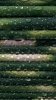 1269379253_japan-style-360x640-by-seeman-tel.by.jpg 1269379253_japan-style-360x640-by-seeman-tel.by.jpg
